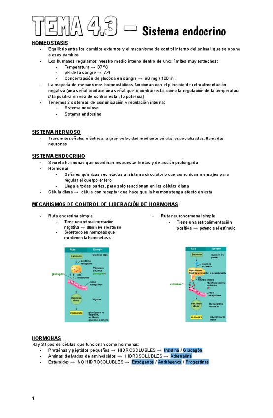 Miniatura del documento Tema 4.3 (BIO).pdf