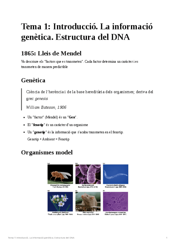 Miniatura del documento Tema-1Genetica-molecular.pdf