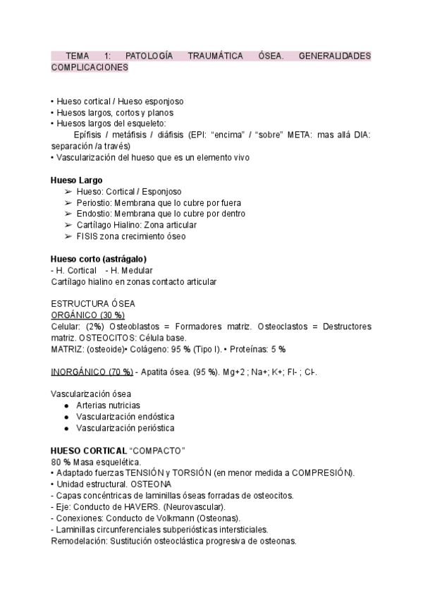 Miniatura del documento Resumen-AMQ1.pdf