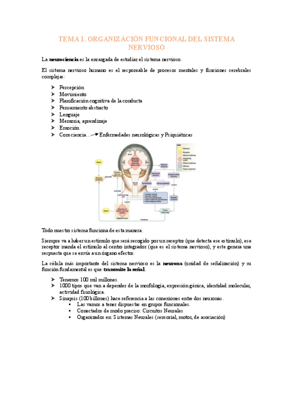 Miniatura del documento FISIOLOGIA-I-1-29-TEMAS-completo.pdf