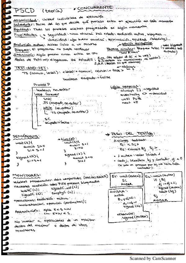 Miniatura del documento PSCD.pdf