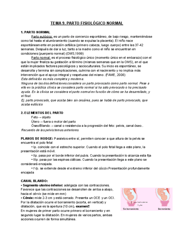 Miniatura del documento Tema-9.-Completo-1.pdf