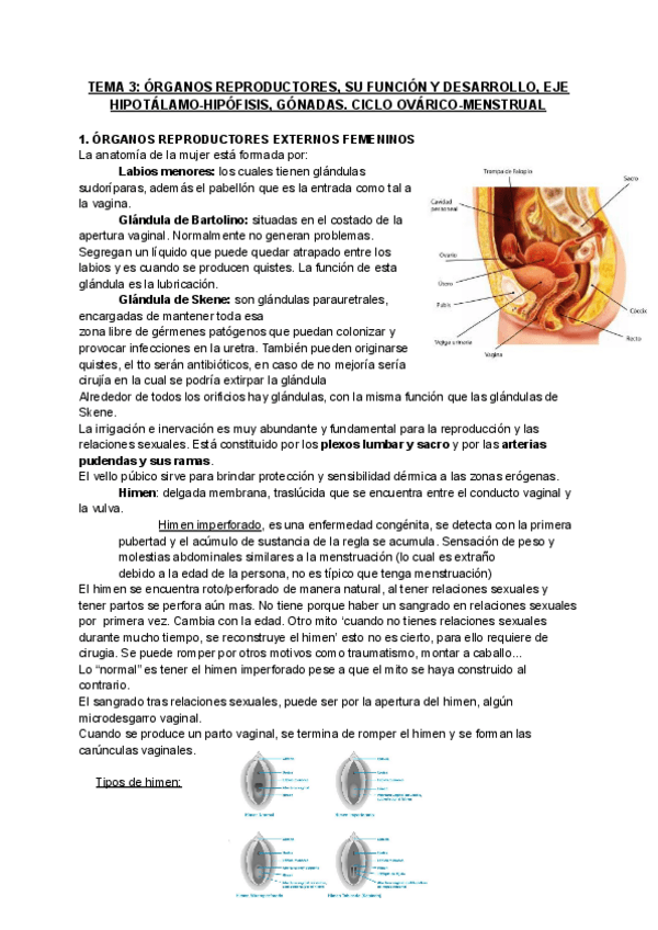 Miniatura del documento Tema-3.-Completo.pdf