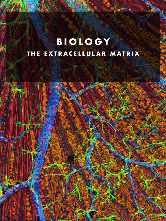 Miniatura del documento BIOLOGY.-Chapter-3.-Pdf.pdf