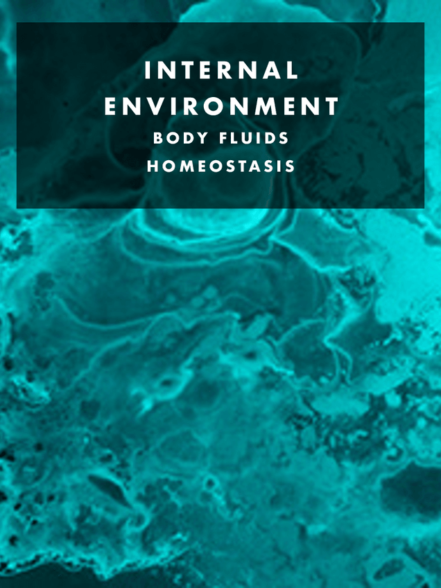 Miniatura del documento PHYSYOLOGY-I.-1.-Homeostasis.pdf