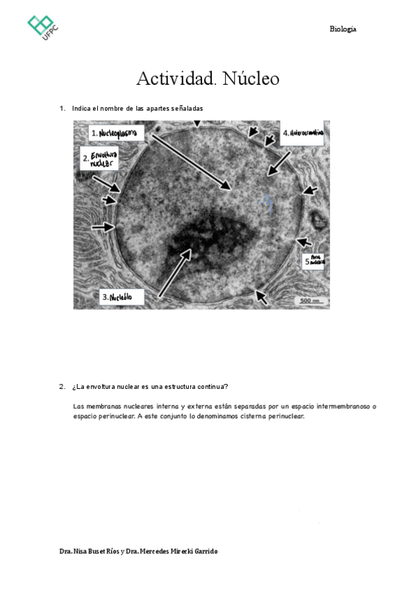 Miniatura del documento 5Trabajo-IndividualNucleoAlumnos.pdf