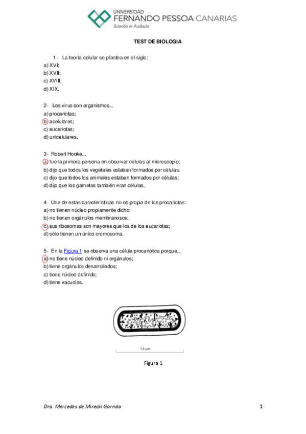 Miniatura del documento TestRepasobloqque-I.pdf