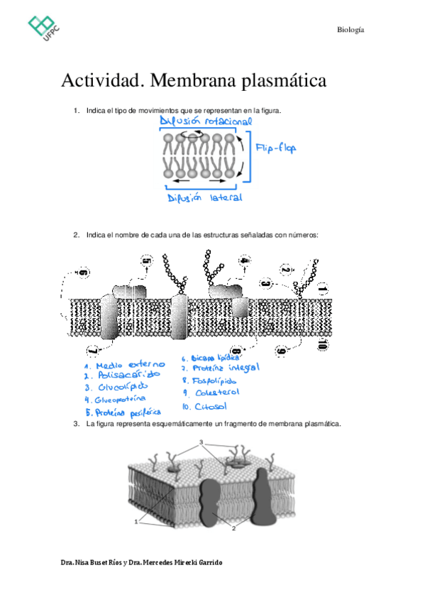 Miniatura del documento Transporte-de-MembranaTrabajo-individual.pdf