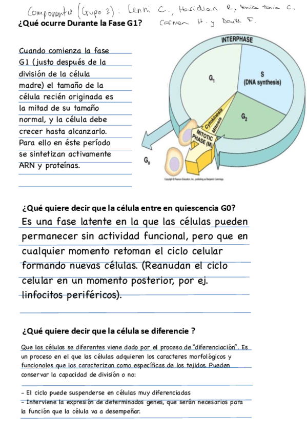Miniatura del documento DItime-line-ciclo-celular-resuelto.pdf