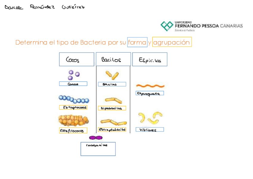 Miniatura del documento Tema-13-Trabajo-Individual.pdf