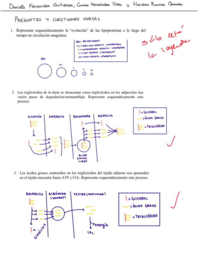 Miniatura del documento Bioquimica.pdf