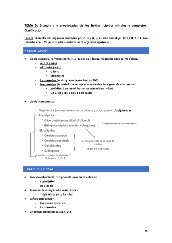 Miniatura del documento TEMA-5.-LIPIDOS.pdf