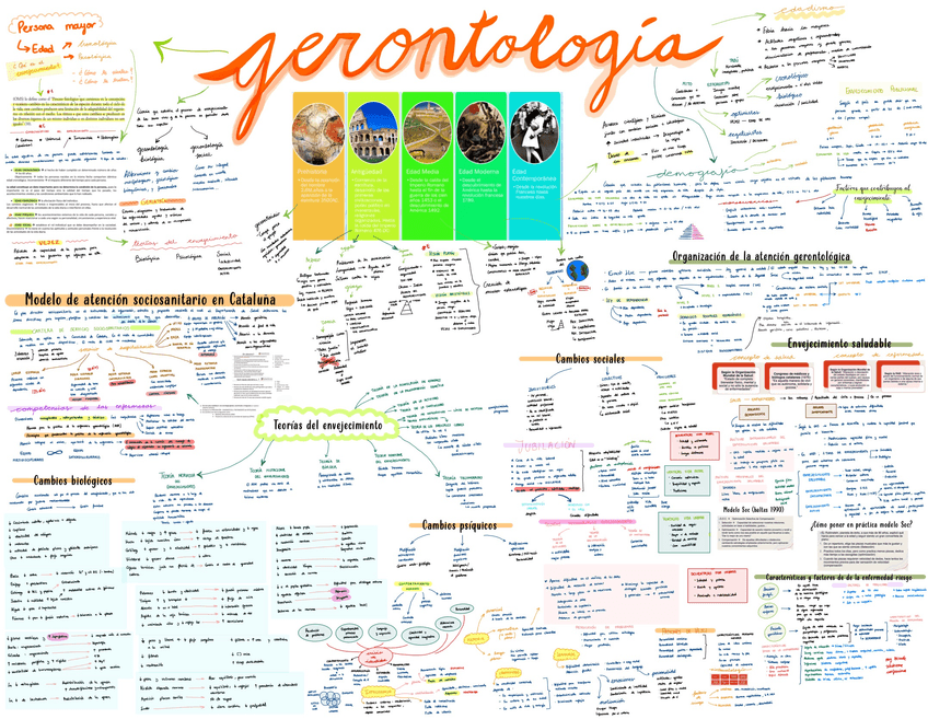 Miniatura del documento Todo-gerontologia-1.jpg