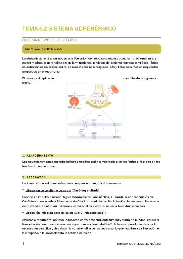 Miniatura del documento 8.2.pdf