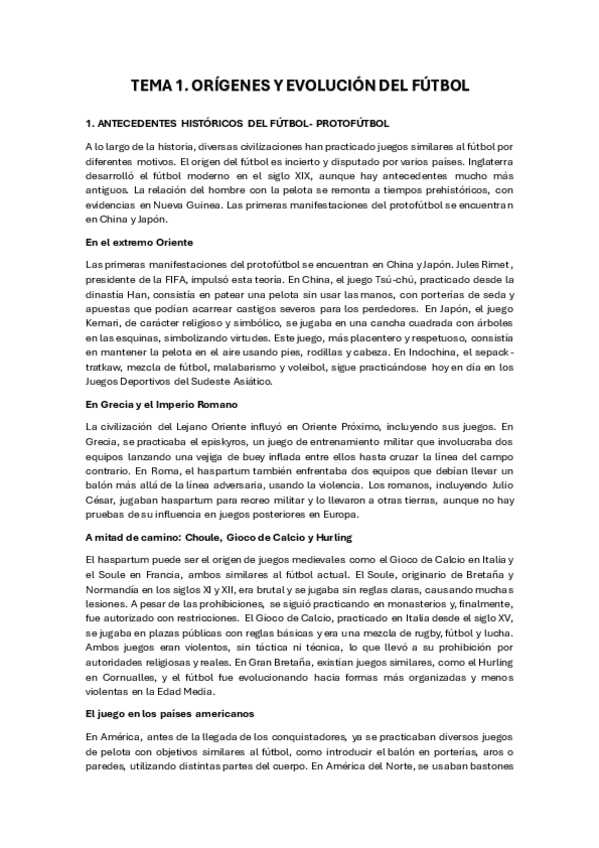Miniatura del documento APUNTESFUTBOL.pdf