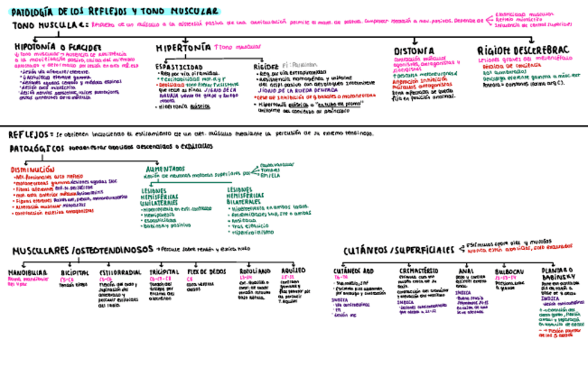 Miniatura del documento Esquemas-nervioso.pdf