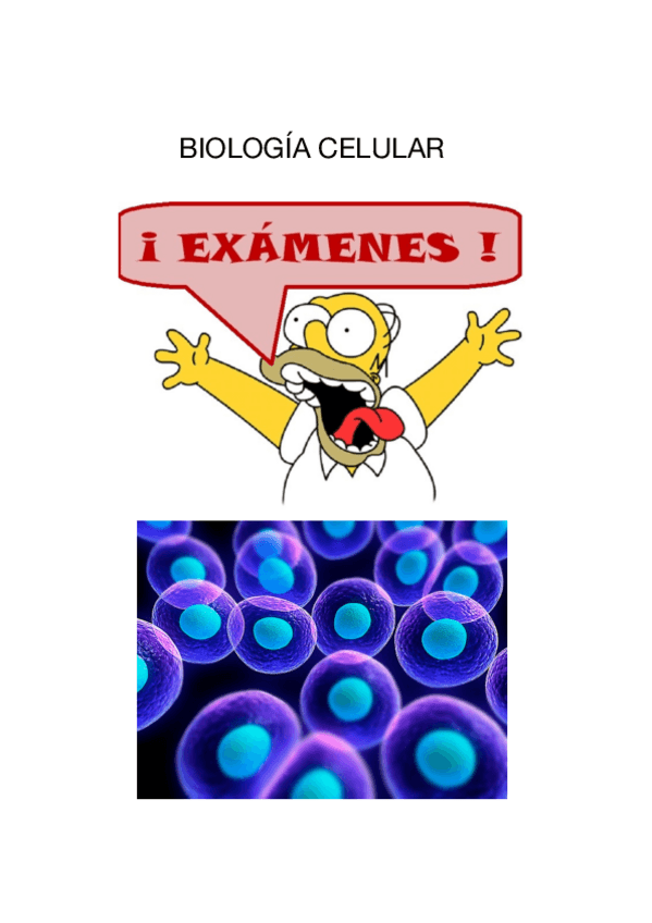 Miniatura del documento Examen-segundo-parcial-biologia-celular.pdf