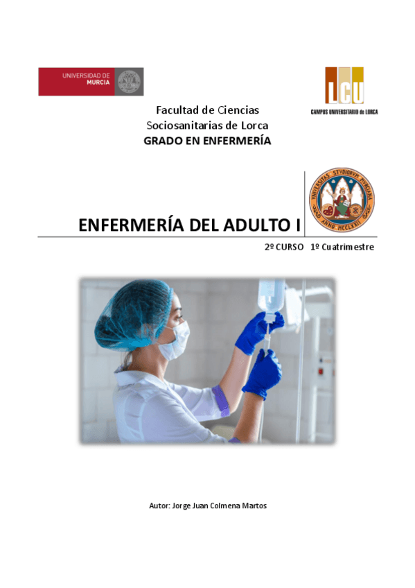 Miniatura del documento Libro-adulto-I.pdf
