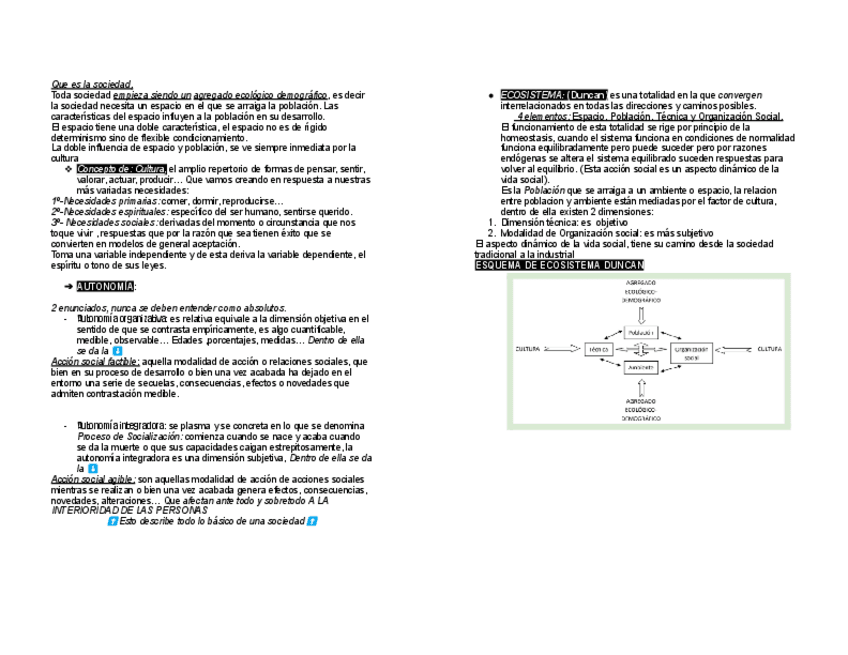 Miniatura del documento SOCIOLOGIA-TEORIA-CAMPOY.pdf