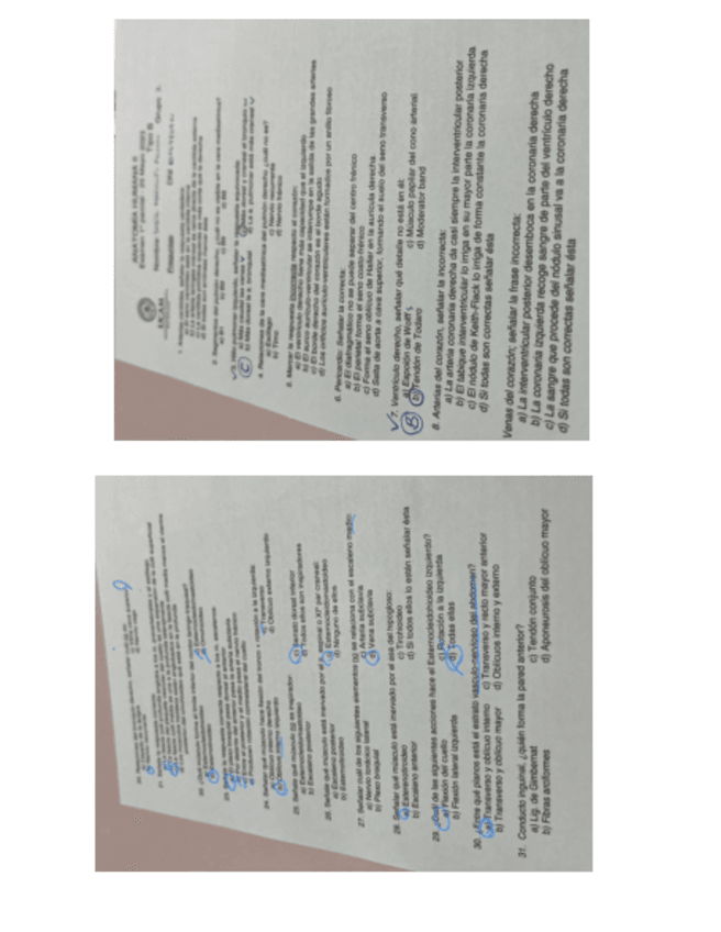 Miniatura del documento Examen-anatomia-II-5.pdf