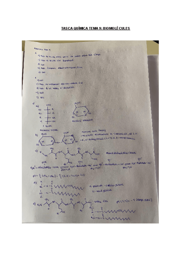 Miniatura del documento TASCA-QUIMICA-TEMA-9-BIOMOLECULES.pdf