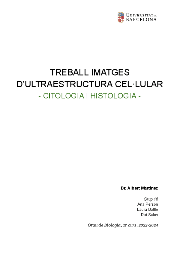 Miniatura del documento Treball-ultraestructura.pdf