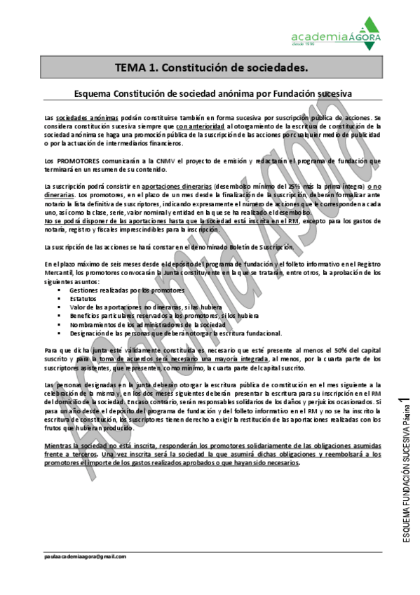 Miniatura del documento ESQUEMA-FUNDACION-SUCESIVA.pdf