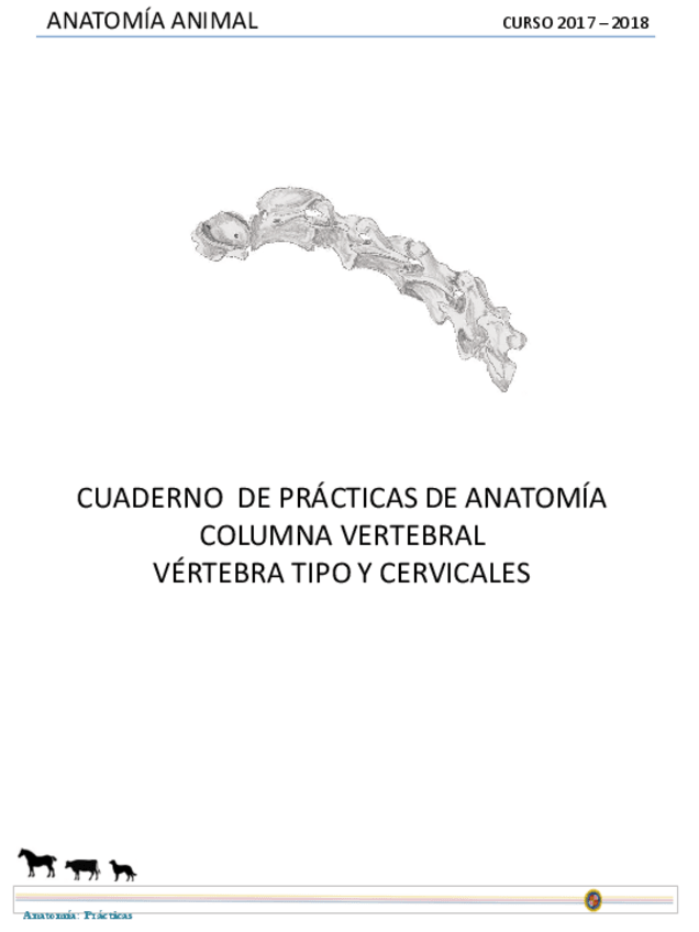 Miniatura del documento Osteologia.pdf