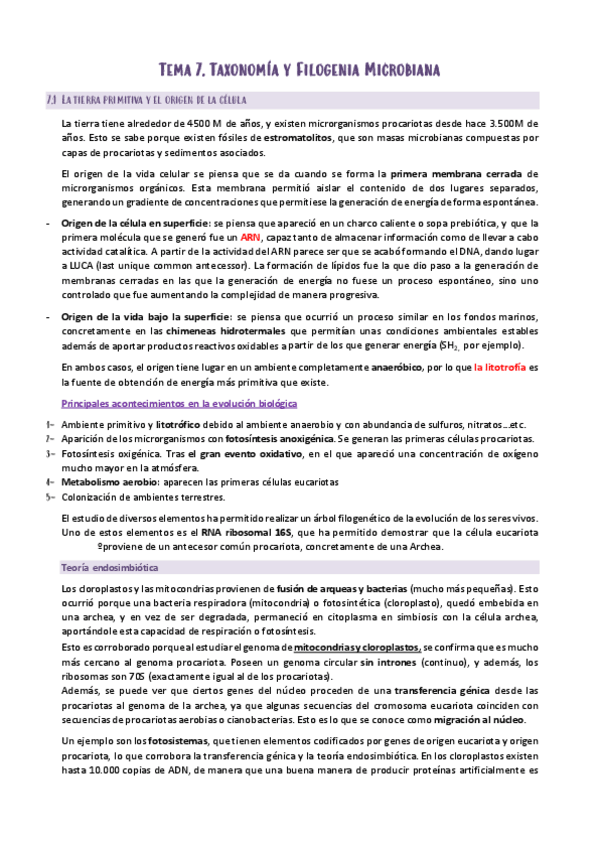 Miniatura del documento T7-MICROBIOLOGIA.pdf