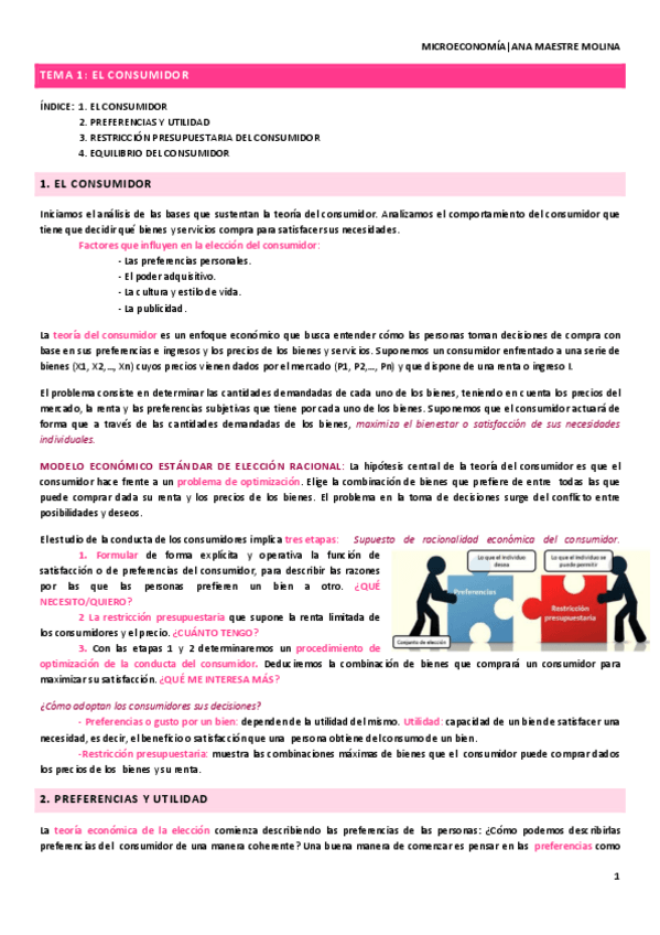 Miniatura del documento TEMA-1.pdf