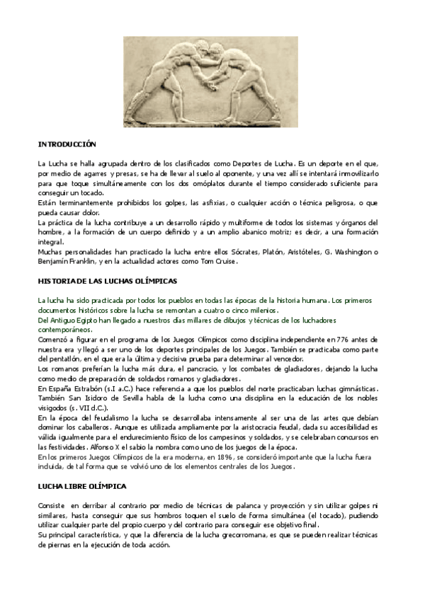 Miniatura del documento LUCHA-OLIMPICA-APUNTES-TEORICOS- UAH.pdf