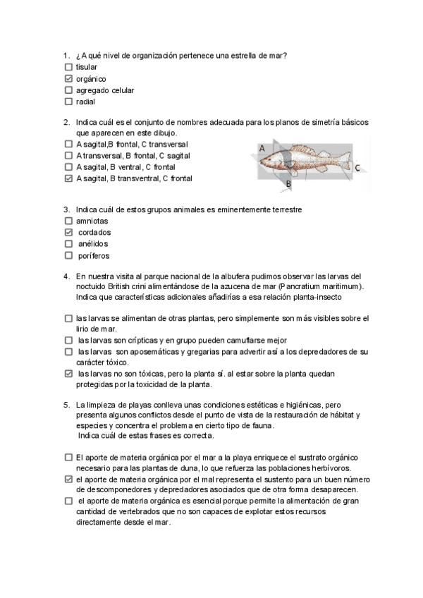 Miniatura del documento examen-tipo-test-hecho.pdf