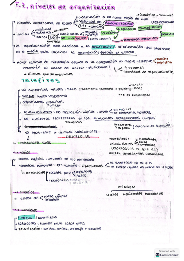 Miniatura del documento apuntes-T2-niveles-de-organizacion.pdf