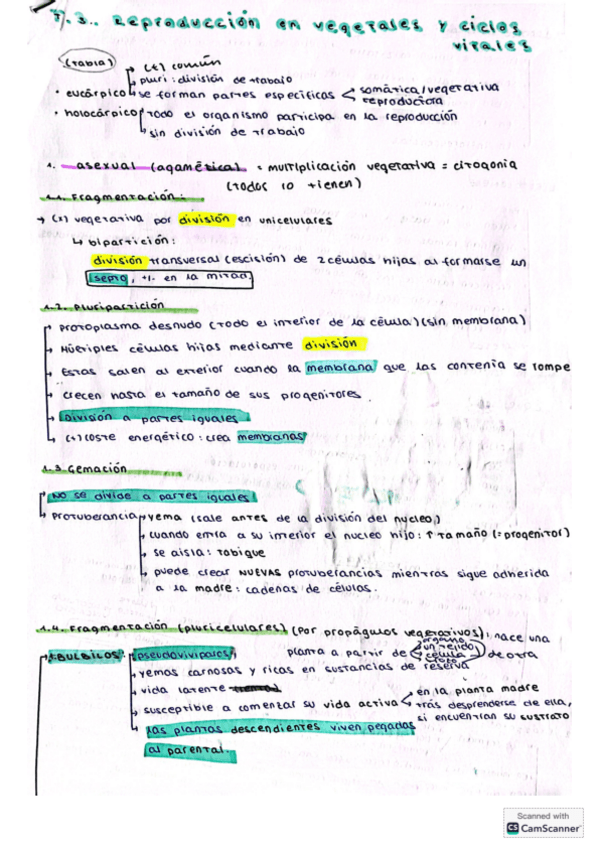 Miniatura del documento apuntes-T3-reproduccion-en-vegetales-y-c.pdf