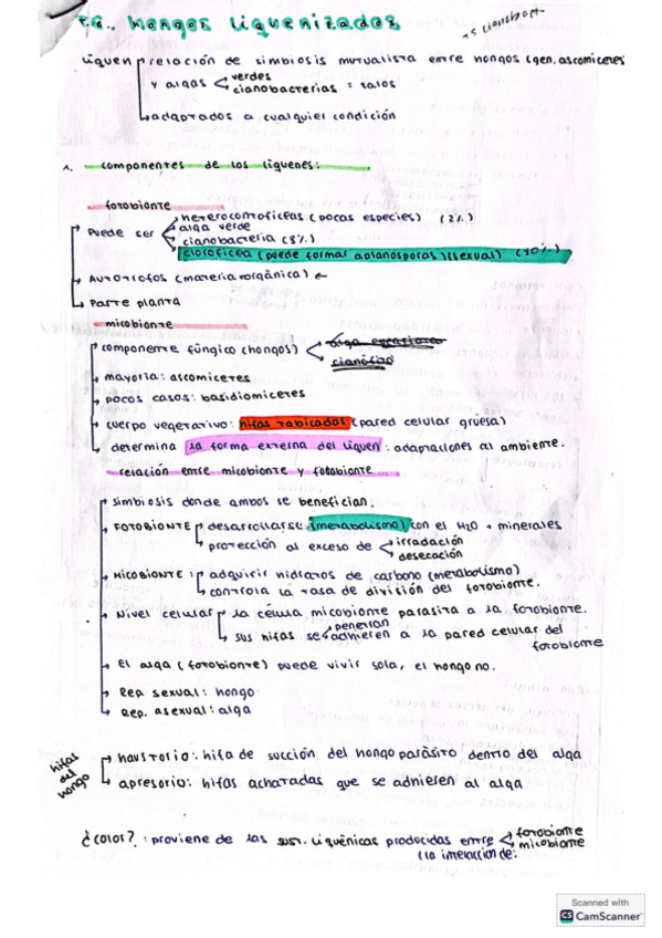 Miniatura del documento apuntes-T6-hongos-liquenizadoa.pdf