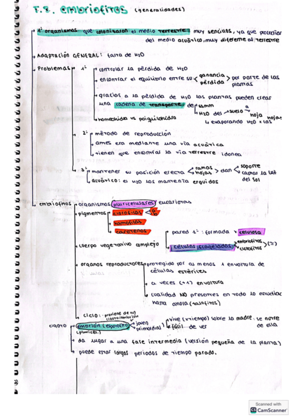 Miniatura del documento apuntes-T8-embriofitos.pdf