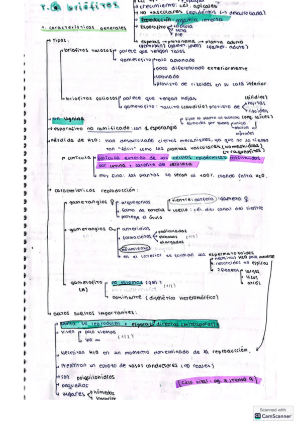 Miniatura del documento apuntes-T9-briofitos.pdf