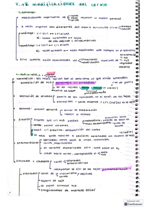 Miniatura del documento apuntes-T12-modificaciones-del-cormo.pdf