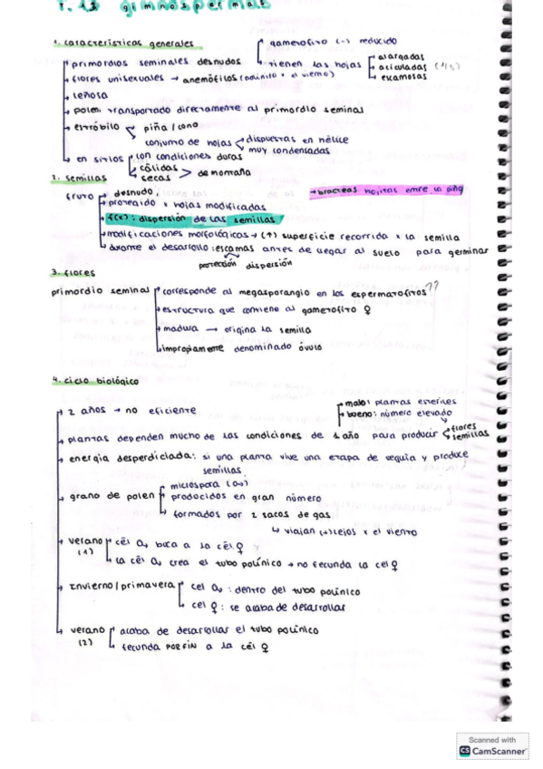 Miniatura del documento apuntes-T13-gimnospermas.pdf