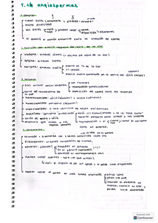 Miniatura del documento apuntes-T14-angiospermas.pdf