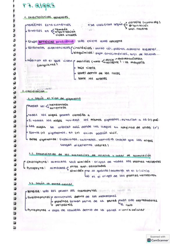 Miniatura del documento teoria-T7-algas-y-cianobacterias.pdf