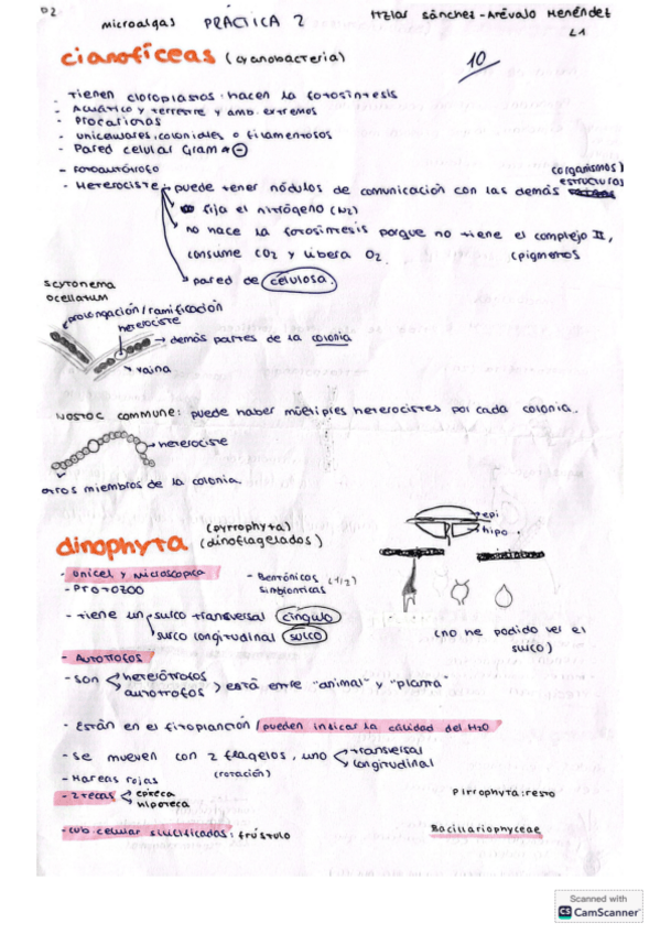 Miniatura del documento practica-2-hecha.pdf