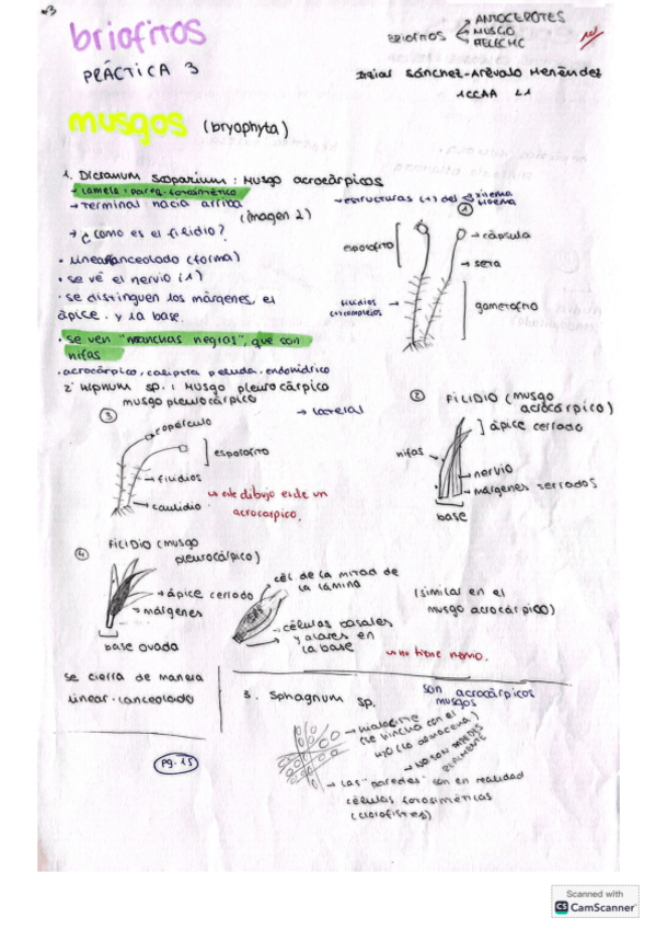 Miniatura del documento practica-3-hecha.pdf