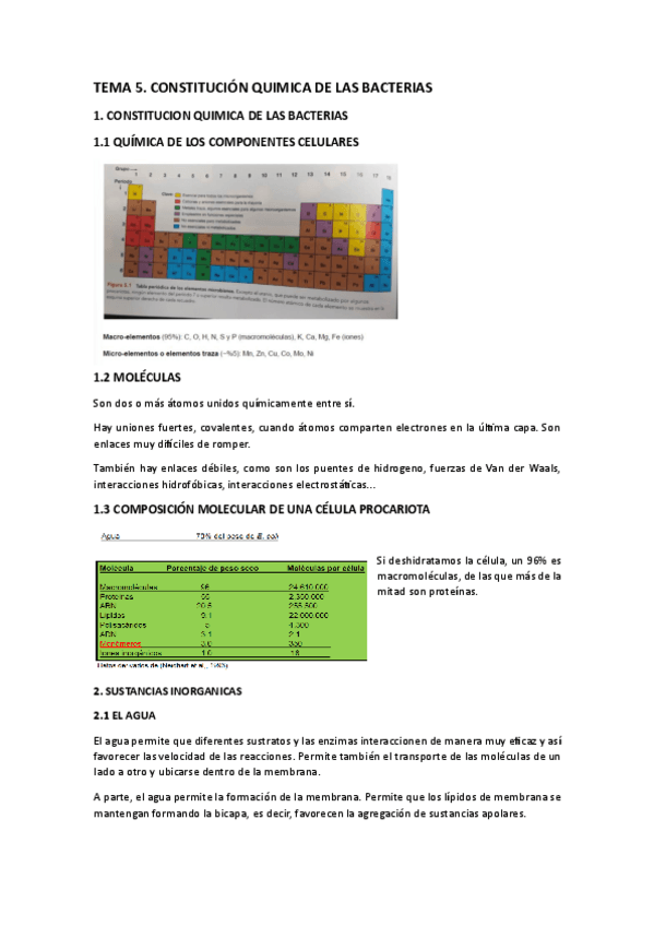 Miniatura del documento TEMA-5-completo-24-25.pdf