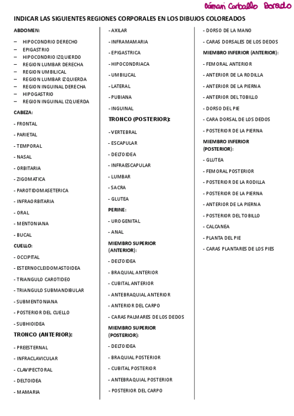 Miniatura del documento Regiones-corporales-ejercicio1DamariCarballo.pdf