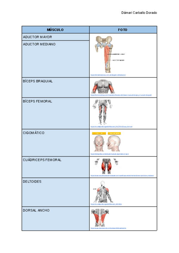Miniatura del documento Tarea11DamariCarballo.pdf