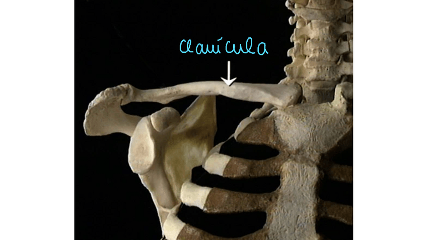 Miniatura del documento TAREA14DamariCarballo.pdf