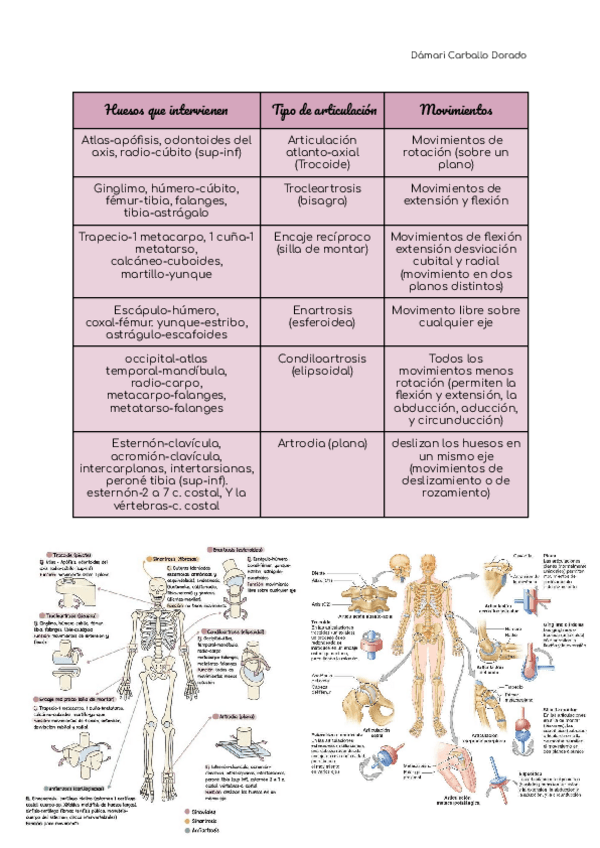 Miniatura del documento T7ARTICULACIONESyMOVIMIENTOSDamariCarballo.pdf
