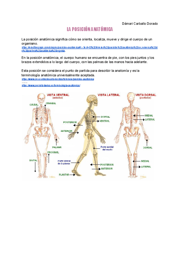 Miniatura del documento PosicionAnatomicaDamariCarballo.docx.pdf