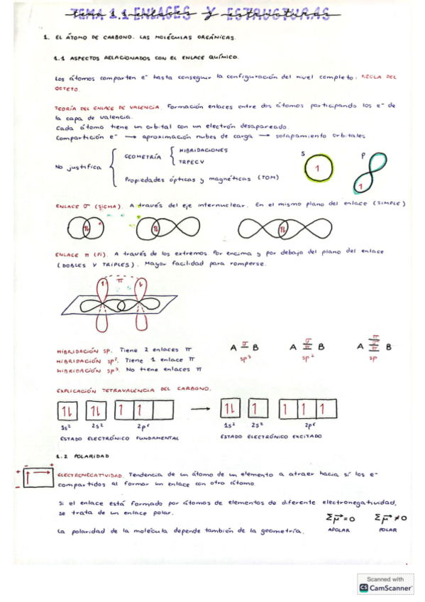 Miniatura del documento Tema-1.1-Quimica-Organica.pdf